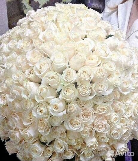 Длинные высокие розы 110 150 160 180 200 см