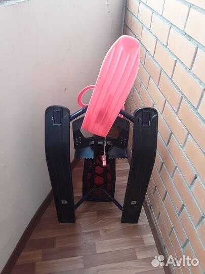 Аргомак детский