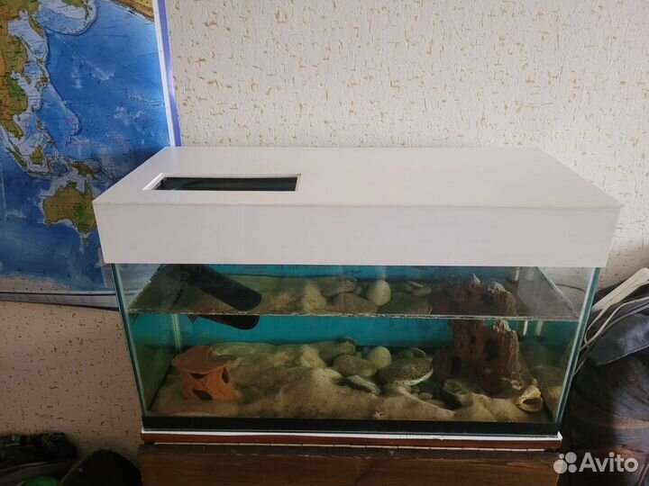 Аквариум 100л