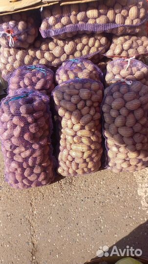 Овощи оптом и в розницу