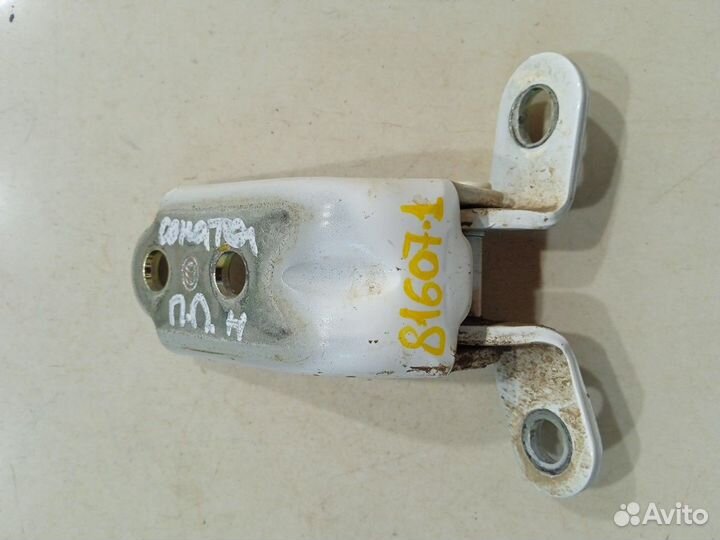 Петля двери(передняя правая нижняя)