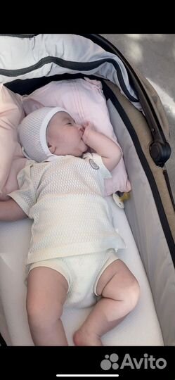 Комплект наследник выжанова