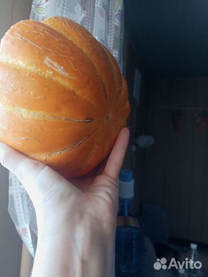 Семена дыни и арбуза