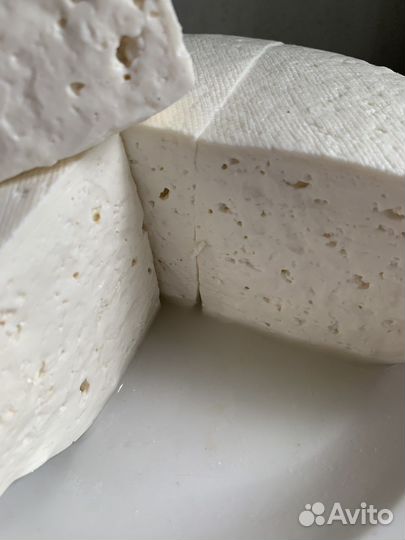 Сыр козий свежий