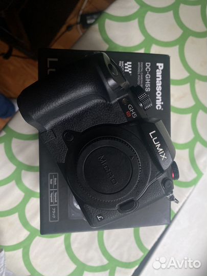 Panasonic lumix gh5s