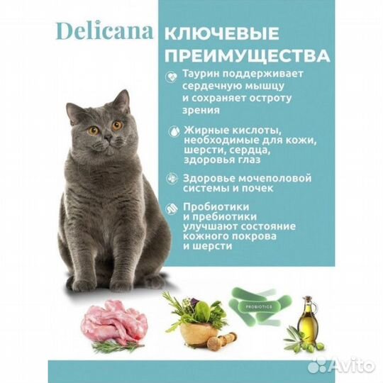 Корма для кошек премиум класса Delicana (Россия)