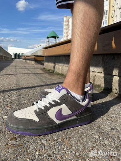 Кроссовки nike purple pigeon