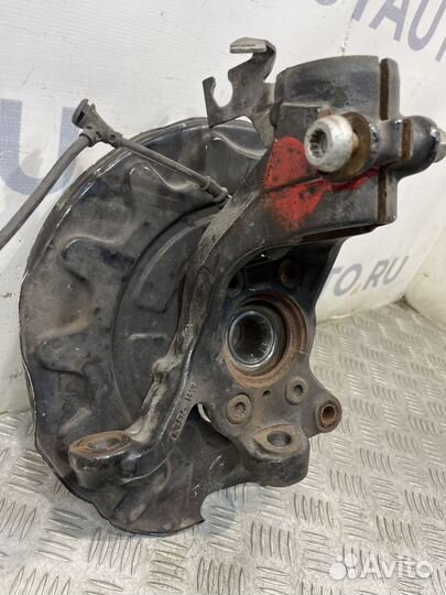 Кулак поворотный передний левый Volkswagen Teramon