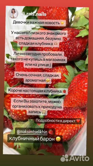 Клубника фермерская местная