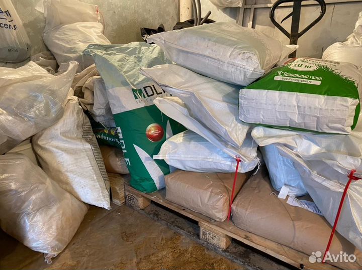 Газонная трава семена