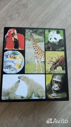 Энциклопедия 