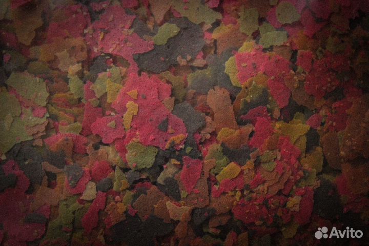 Корм Tetra (2x100 г) / Мечта для рыбок вашей мечты