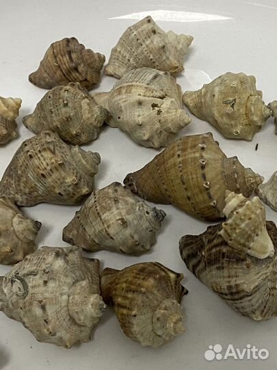 Грунт для аквариума