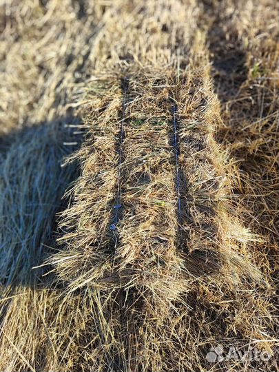 Сено в тюках