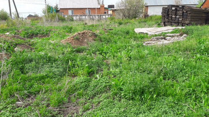 Участок 37 сот. (ИЖС)