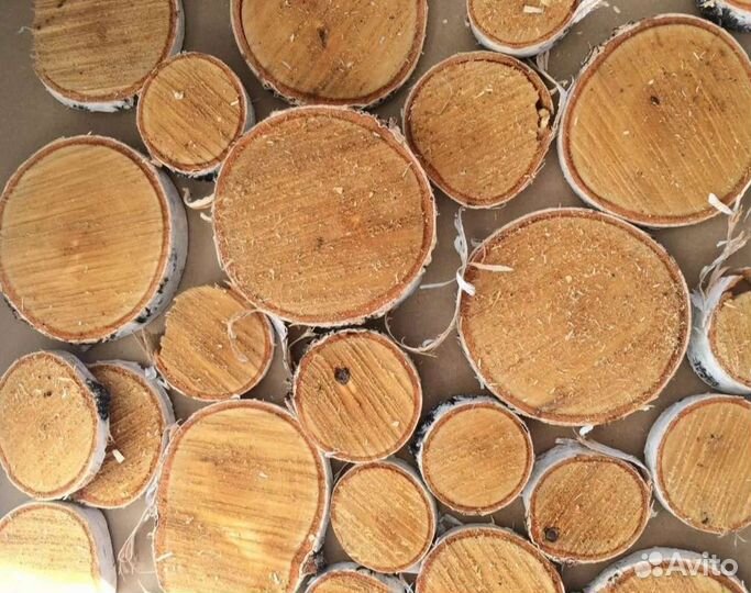 Берёзовые спилы