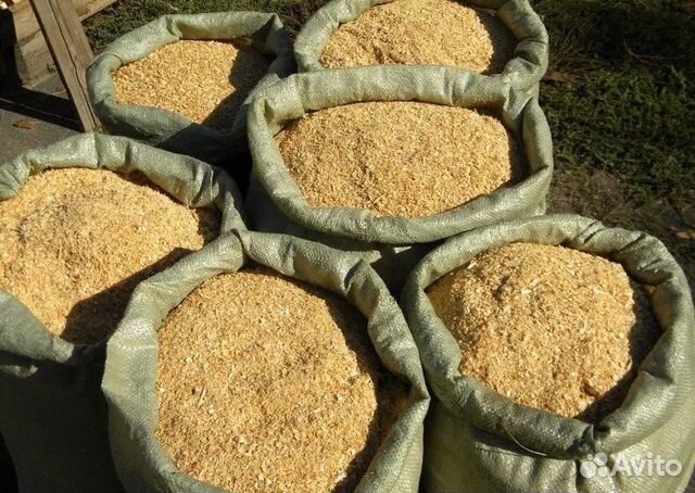 Можжевеловые