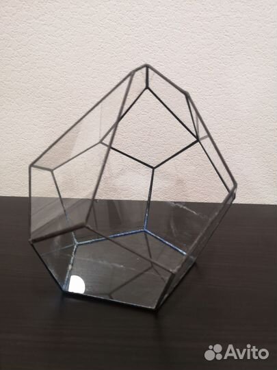 Флорариум для суккулентов бу