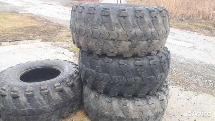 Шины на сокол