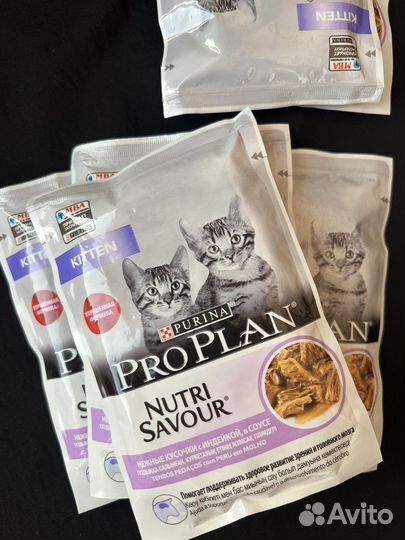 Pro plan для котят