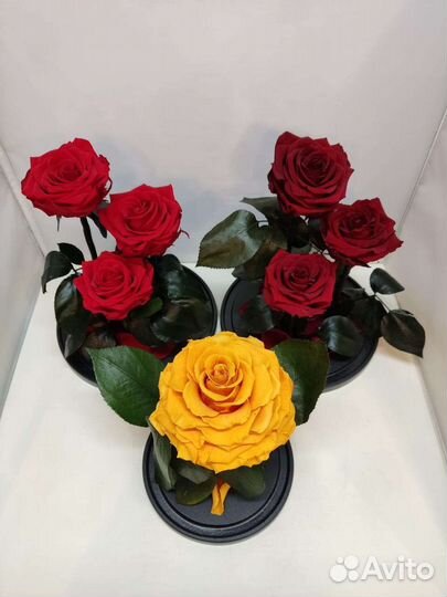 Стабилизированная роза в колбе