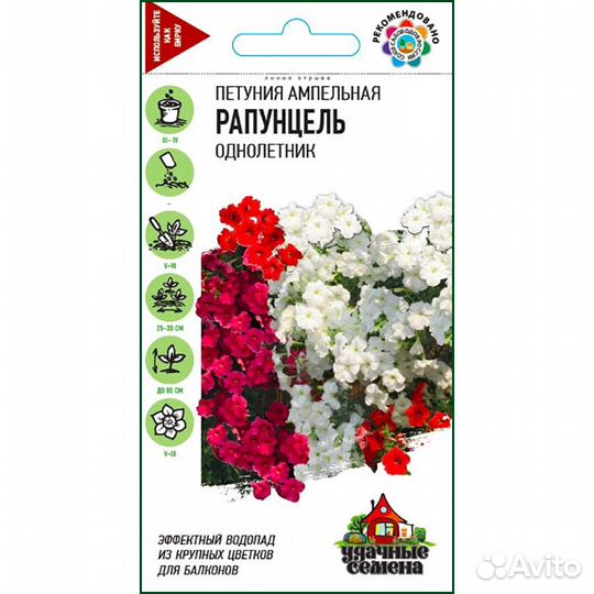 Петуния Рапунцель ампельная