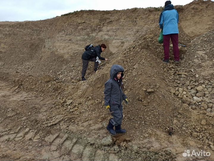 Москва Топ-Экскурсия На раскопки с палеонтологом: