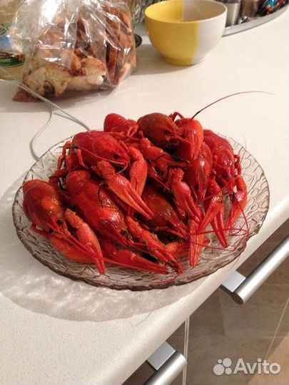 Живые раки и букеты из раков в Йошкар-Ола