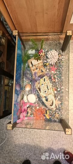 Сухой аквариум