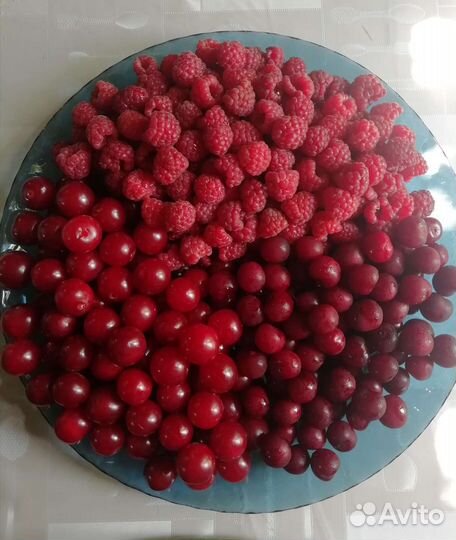 Вишня 3 вида