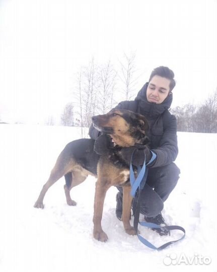 Милый парень Ричи