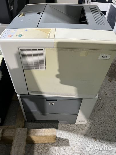 Принтер hp laserjet p3005dn