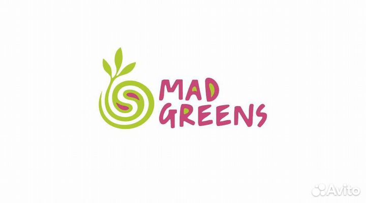 Микрозелень Лук зеленый