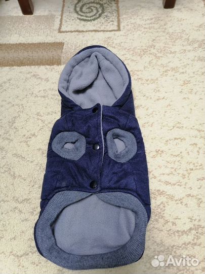 Вещи для маленькой собаки