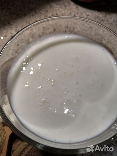 Кефирный тибетский молочный гриб