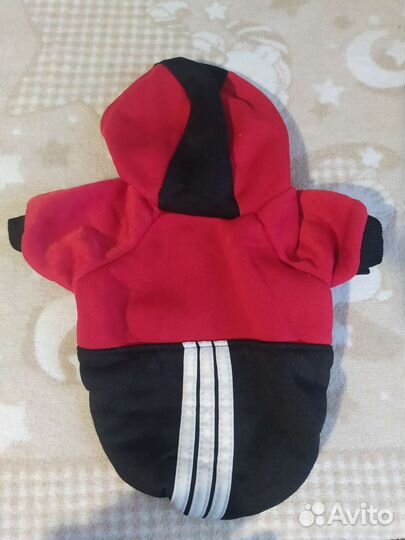 Костюм на маленькую собаку