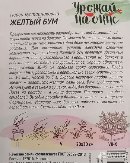 Рассада перцев