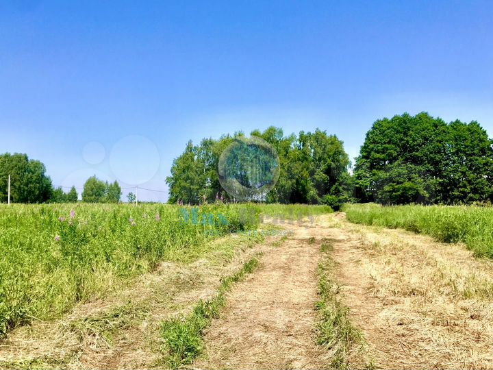 Участок 25 сот. (ИЖС)