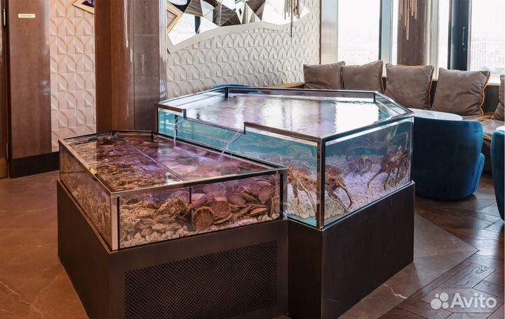 Аквариум для устриц