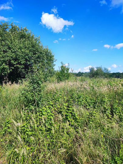 Участок 18,9 сот. (ИЖС)