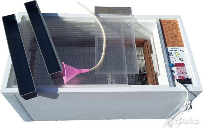 Инкубатор Блиц Матрица Дели цифровой + книга