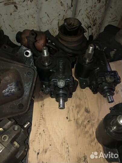 Гур на газель