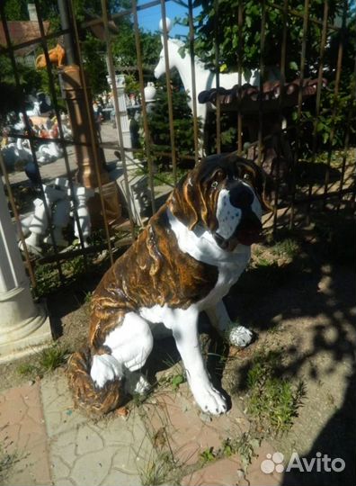 Собака Сенбернар