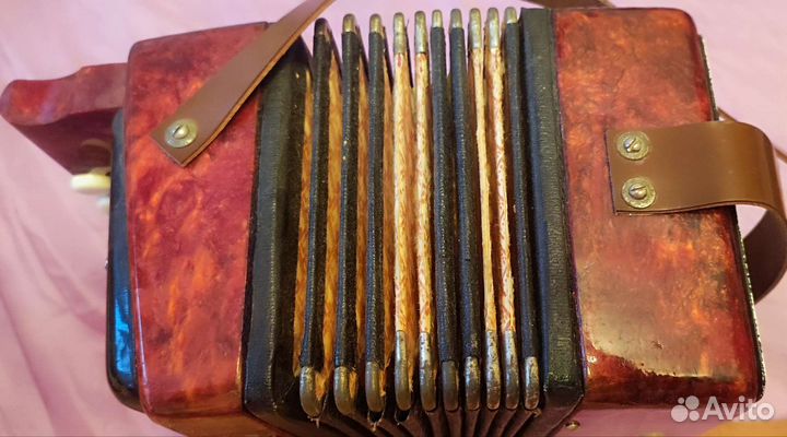 Гармонь Калинка