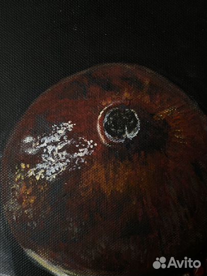 Картина гранат