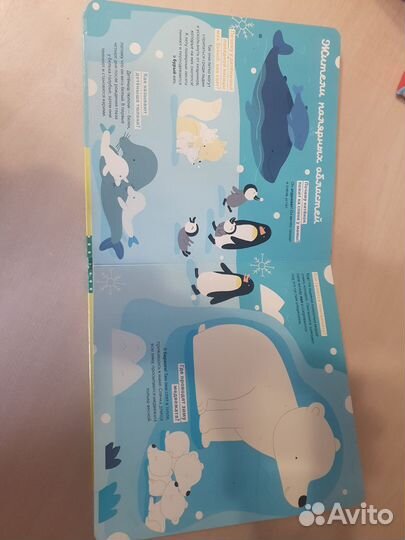 Интерактивные книги для детей с окошками