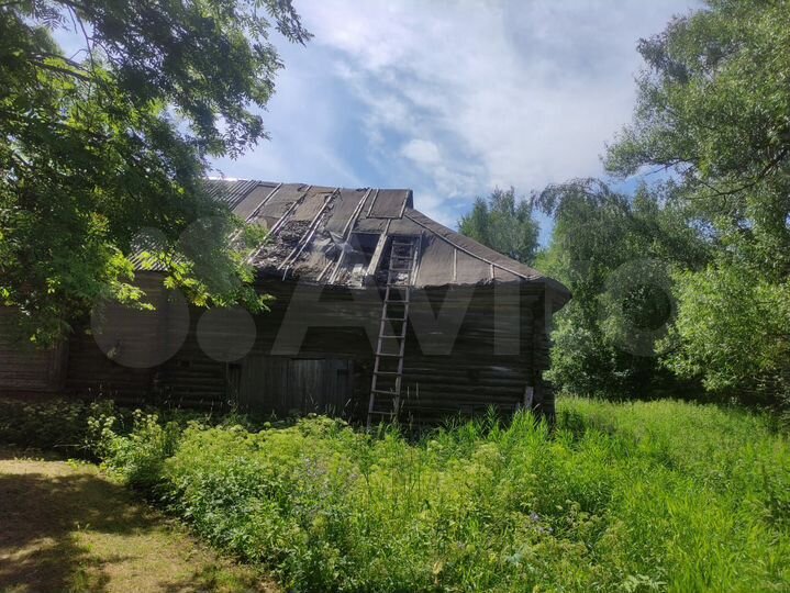 Участок 25 сот. (СНТ, ДНП)