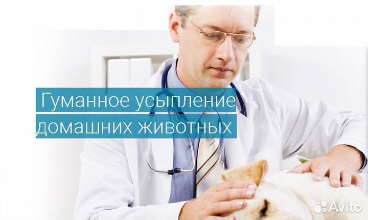 Усыпление домашних животных с вызовом на дом