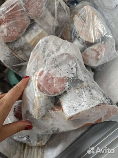 Красная рыба горбуша кета кижуч