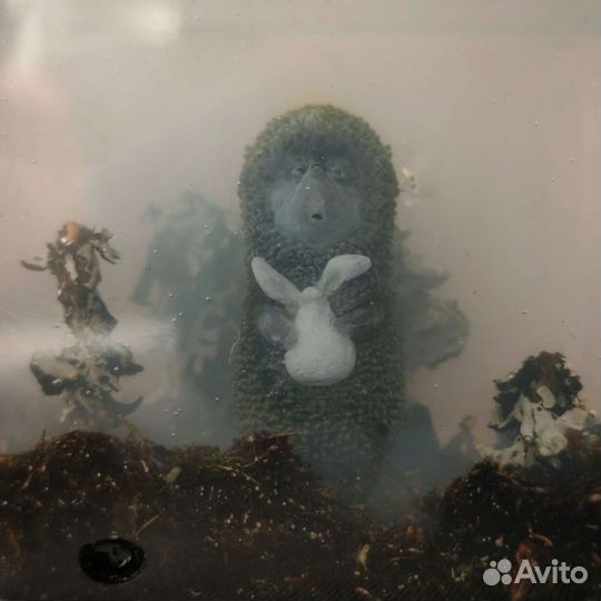 Ежик в тумане